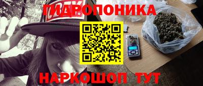 PSILOCYBIN Майкоп