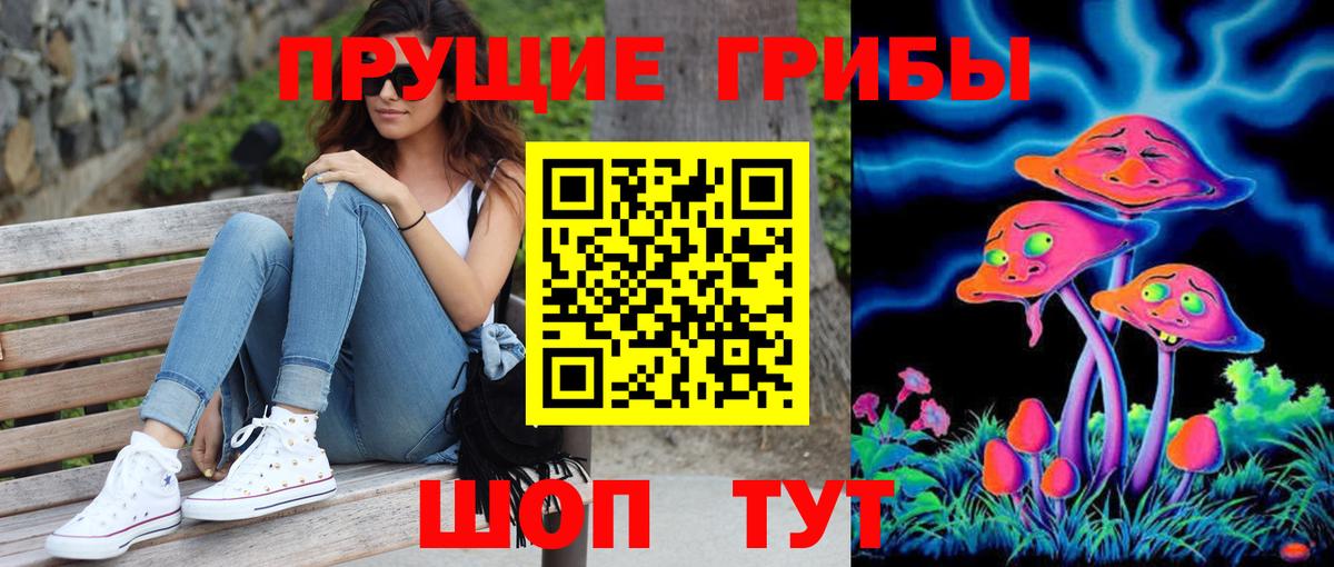 Псилоцибиновые грибы Psilocybe Новошахтинск